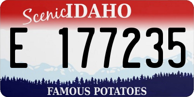 ID license plate E177235