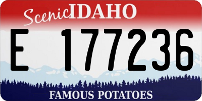 ID license plate E177236