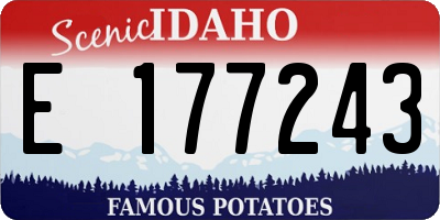 ID license plate E177243