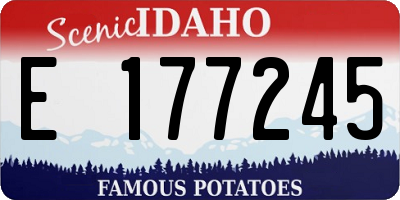 ID license plate E177245
