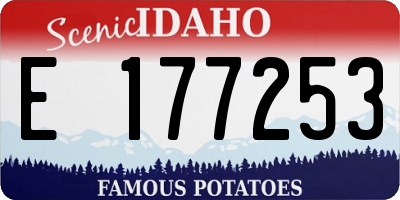 ID license plate E177253