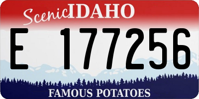 ID license plate E177256