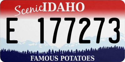 ID license plate E177273