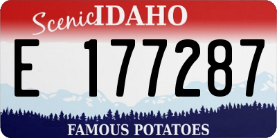 ID license plate E177287