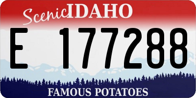 ID license plate E177288