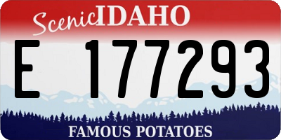 ID license plate E177293