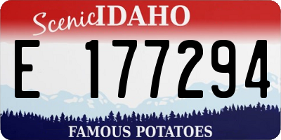 ID license plate E177294