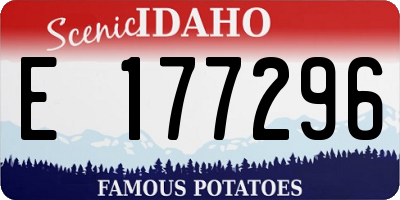 ID license plate E177296
