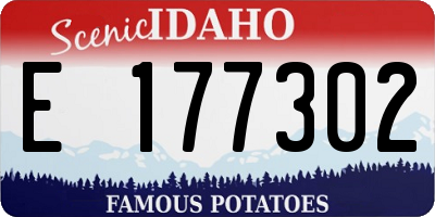 ID license plate E177302