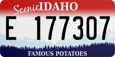 ID license plate E177307