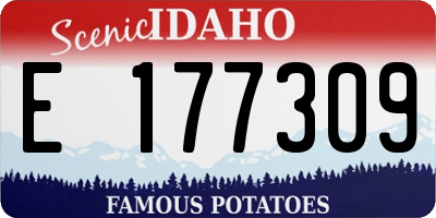 ID license plate E177309