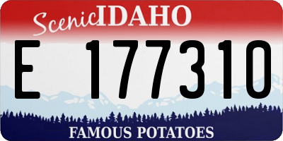 ID license plate E177310