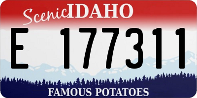 ID license plate E177311
