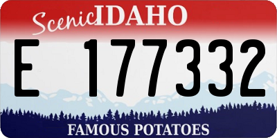 ID license plate E177332