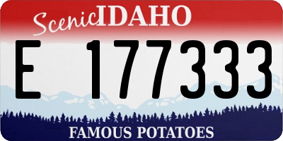 ID license plate E177333