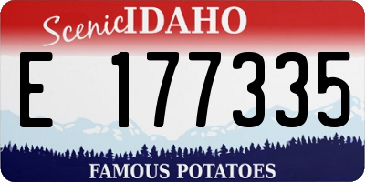 ID license plate E177335