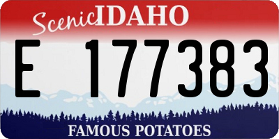 ID license plate E177383