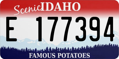 ID license plate E177394