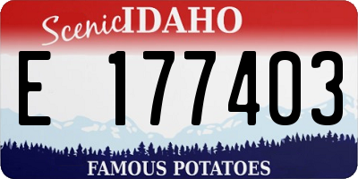 ID license plate E177403