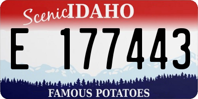 ID license plate E177443