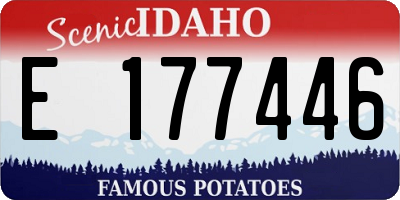 ID license plate E177446