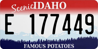 ID license plate E177449
