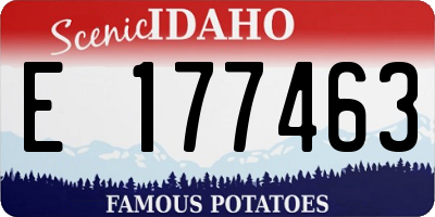 ID license plate E177463