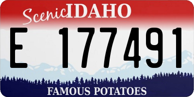 ID license plate E177491