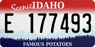 ID license plate E177493