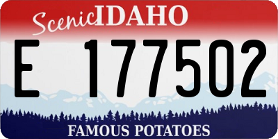 ID license plate E177502