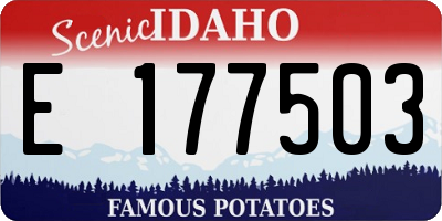 ID license plate E177503