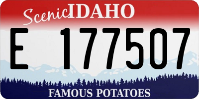 ID license plate E177507