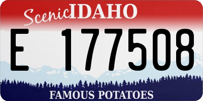 ID license plate E177508