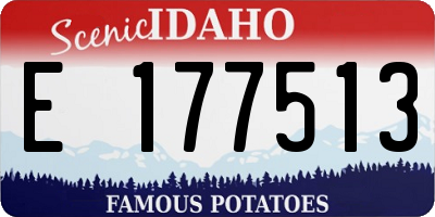 ID license plate E177513
