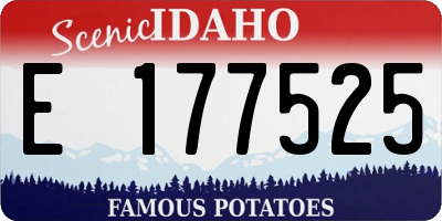 ID license plate E177525