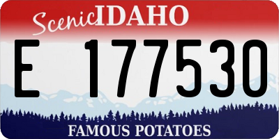 ID license plate E177530