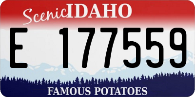 ID license plate E177559