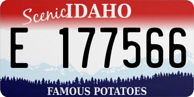 ID license plate E177566