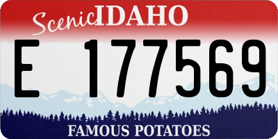 ID license plate E177569