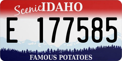 ID license plate E177585