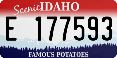 ID license plate E177593