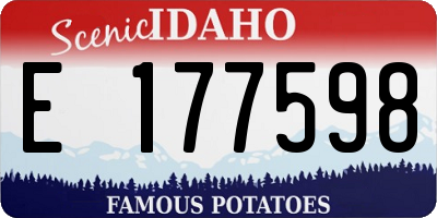 ID license plate E177598