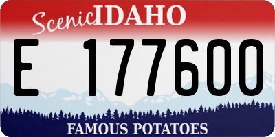 ID license plate E177600