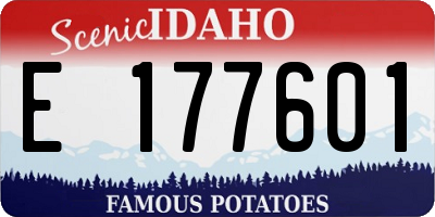 ID license plate E177601