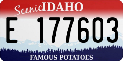 ID license plate E177603