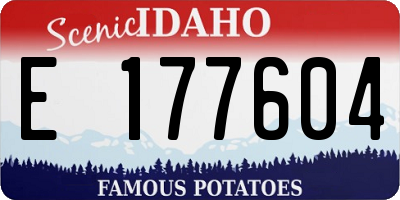 ID license plate E177604