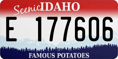ID license plate E177606