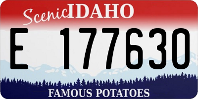 ID license plate E177630