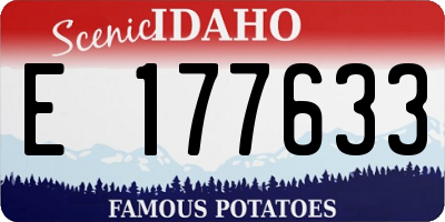 ID license plate E177633