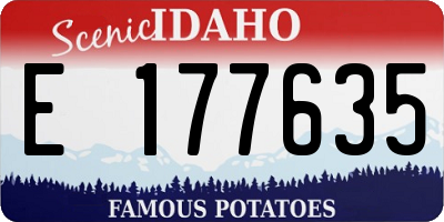 ID license plate E177635